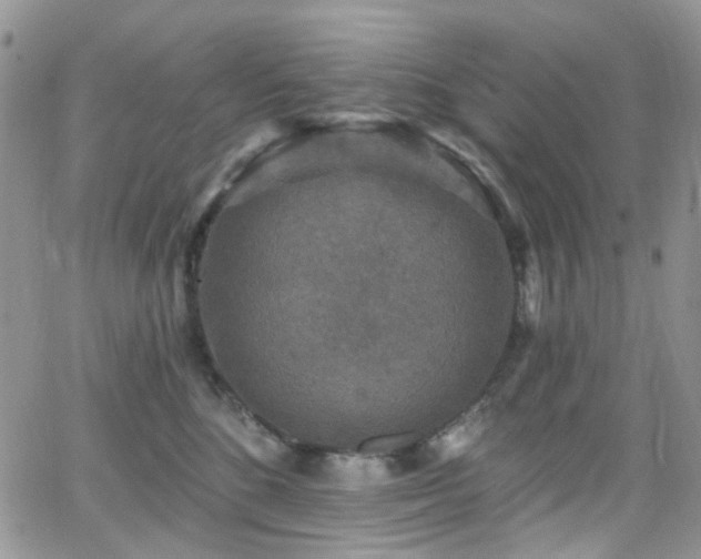 X0000062140520200512091218