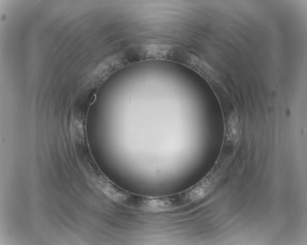 X0000062140522200512091218