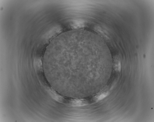 X0000062140523200512091218