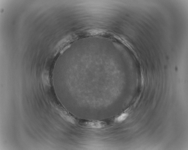 X0000062140524200512091218