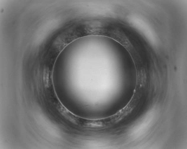 X0000062140525200512091218