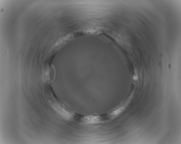 X0000062140526200512091218