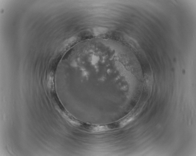 X0000062140527200512091218