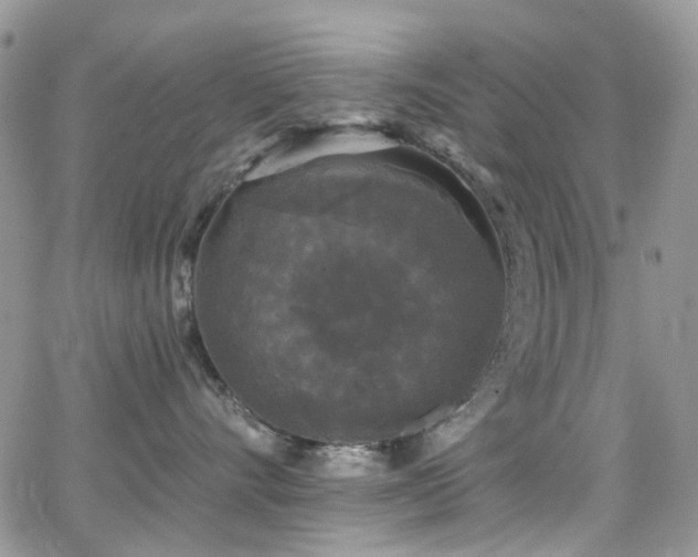 X0000062140528200512091218