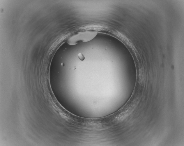 X0000062140529200512091217