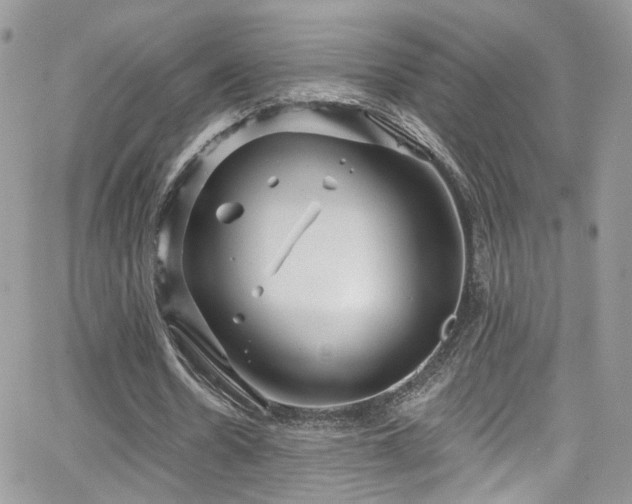 X0000062140530200512091217