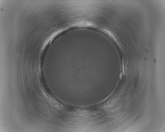 X0000062140531200512091217