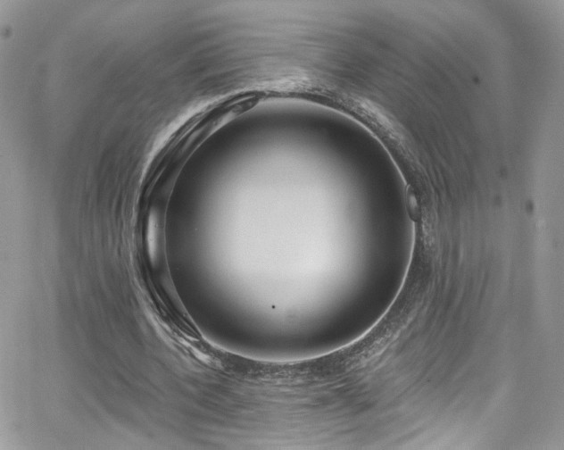 X0000062140532200512091217