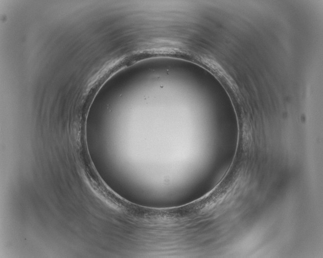 X0000062140533200512091217