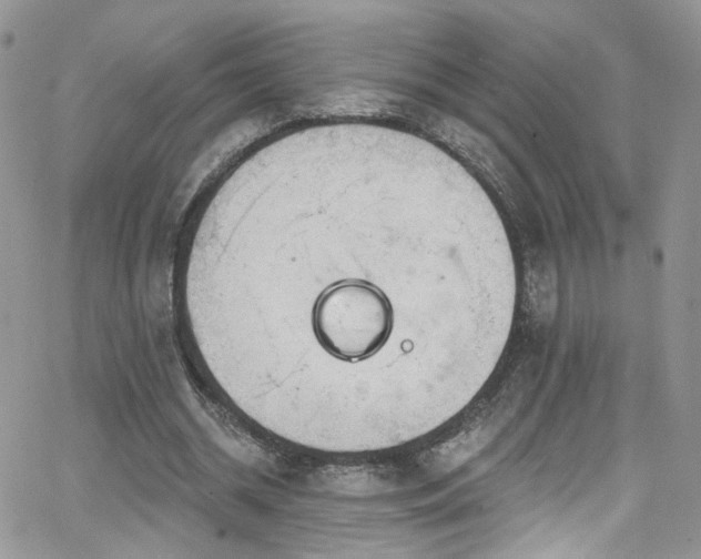 X0000062140534200512091217