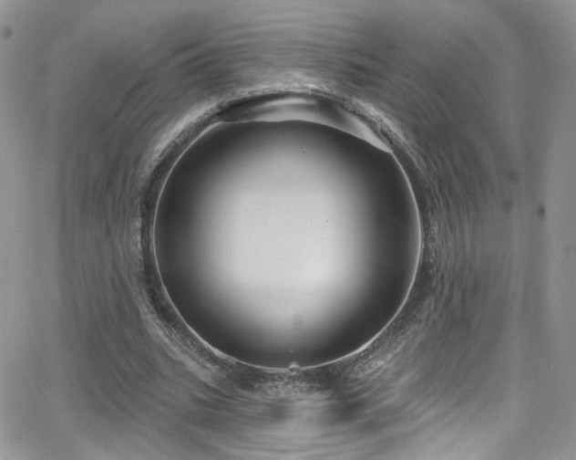 X0000062140535200512091217