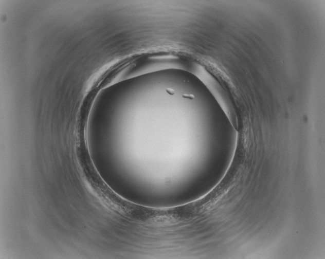 X0000062140536200512091217