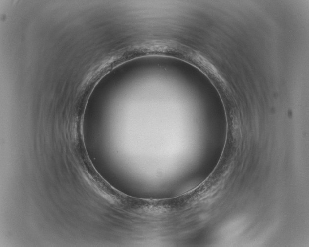 X0000062140537200512091217