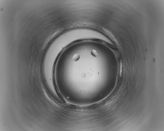 X0000062140538200512091217