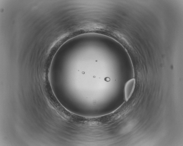 X0000062140539200512091217