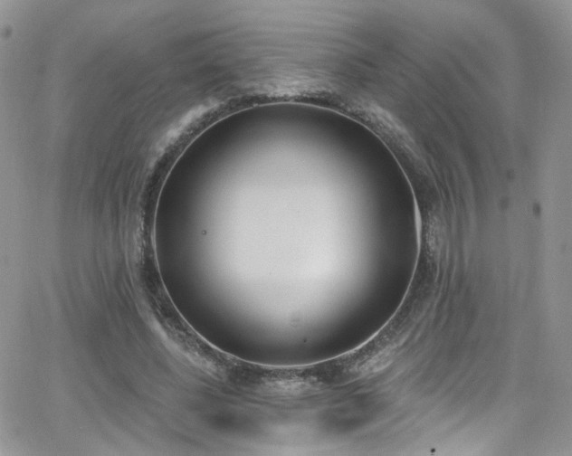 X0000062140540200512091217