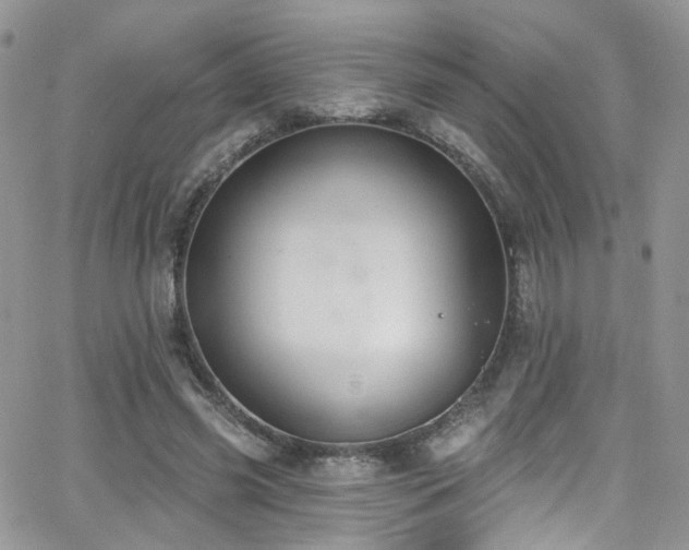 X0000062140541200512091217