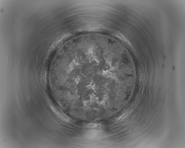 X0000062140542200512091217