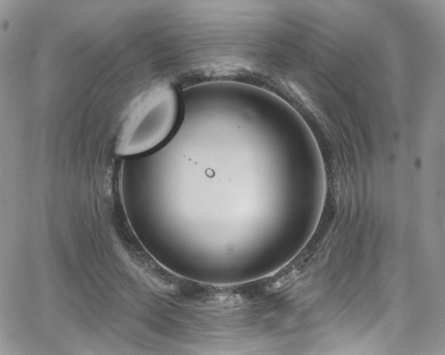 X0000062140543200512091218