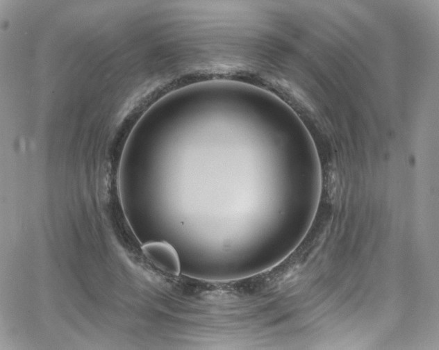 X0000062140544200512091218