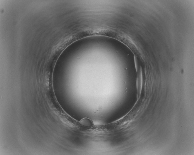 X0000062140545200512091218