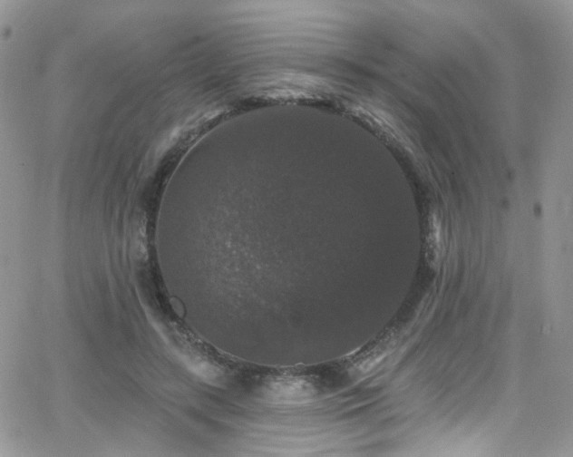 X0000062140547200512091218