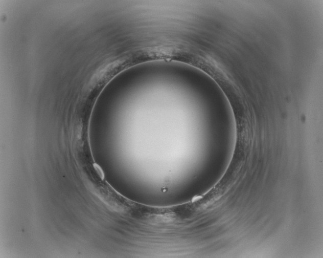 X0000062140548200512091218