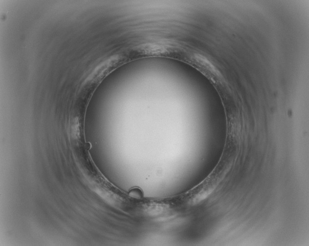 X0000062140549200512091218