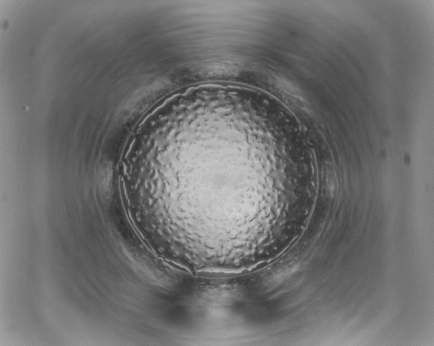 X0000062140550200512091218