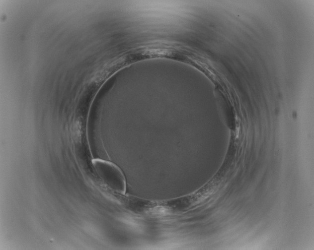 X0000062140551200512091218