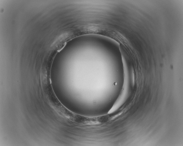 X0000062140552200512091218