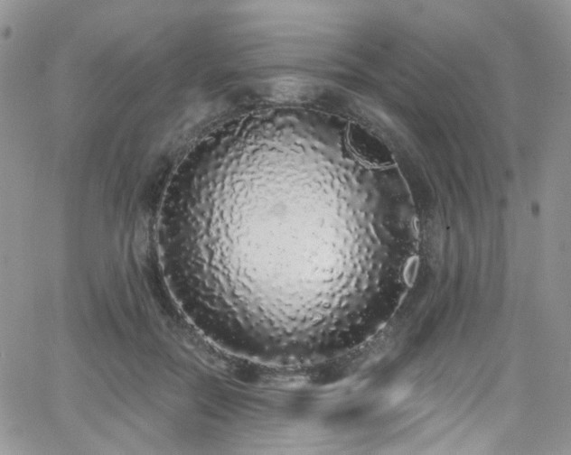 X0000062140554200512091218