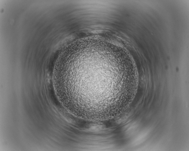 X0000062140555200512091218