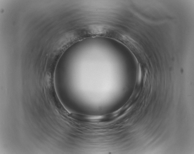 X0000062140556200512091218