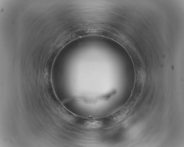 X0000062140557200512091218