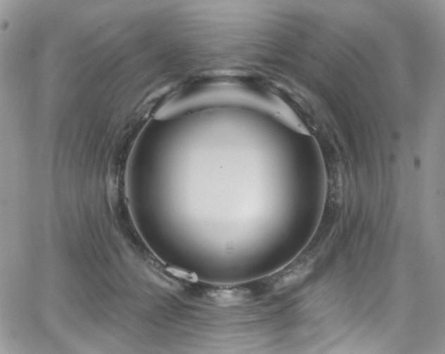 X0000062140558200512091218