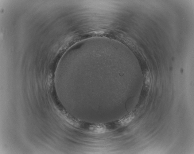 X0000062140559200512091218