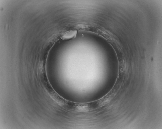 X0000062140560200512091218