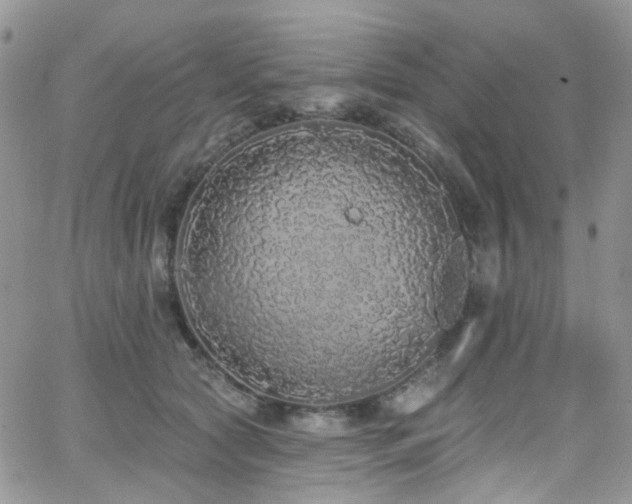 X0000062140561200512091218