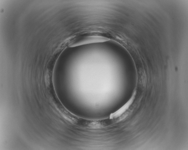 X0000062140562200512091218