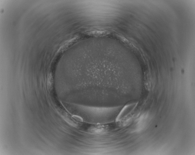 X0000062140563200512091218