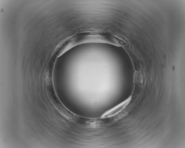 X0000062140564200512091218