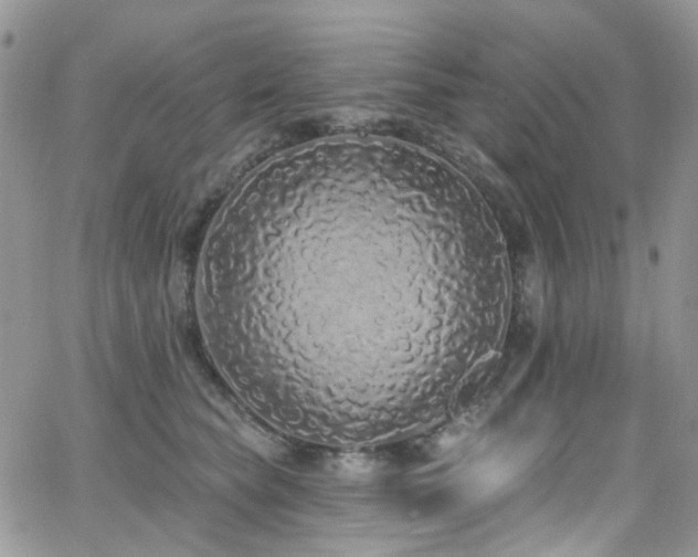 X0000062140565200512091218