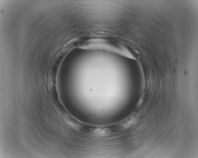 X0000062140566200512091218