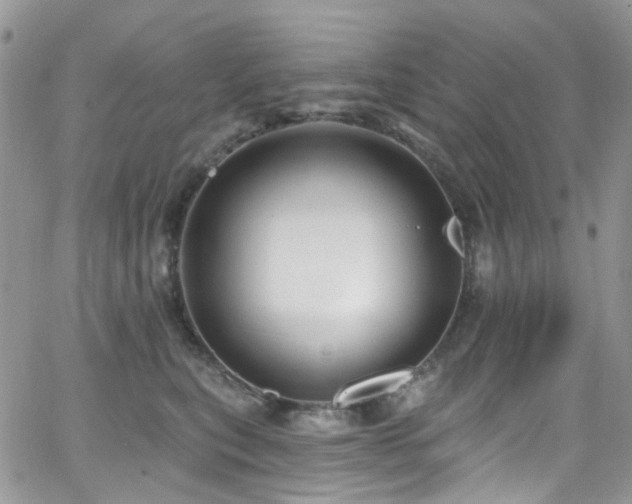 X0000062140567200512091218