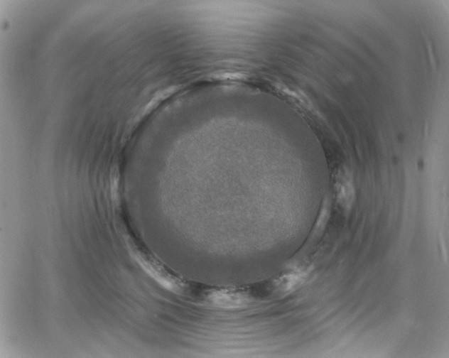 X0000062140568200512091218