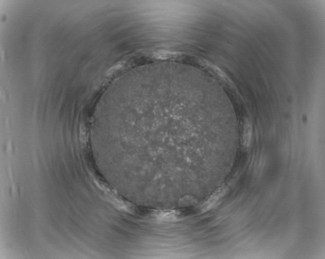 X0000062140569200512091218