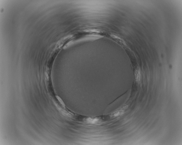 X0000062140570200512091218