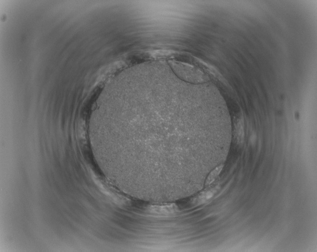 X0000062140571200512091218