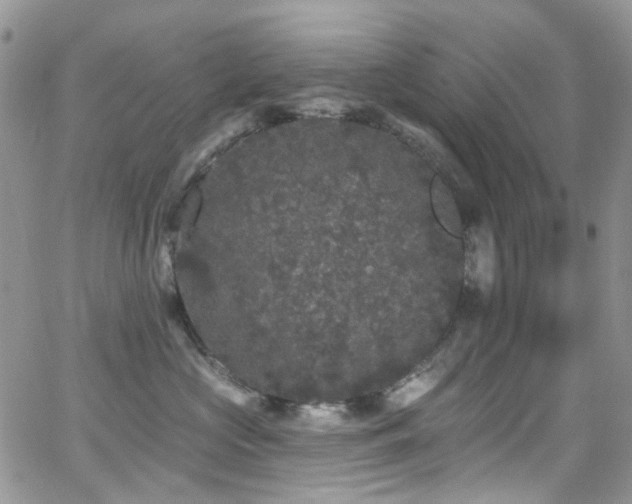 X0000062140573200512091218